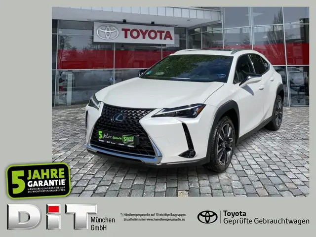 Lexus UX 250h UX 250 h Executive Line zuverlässiger Crossover