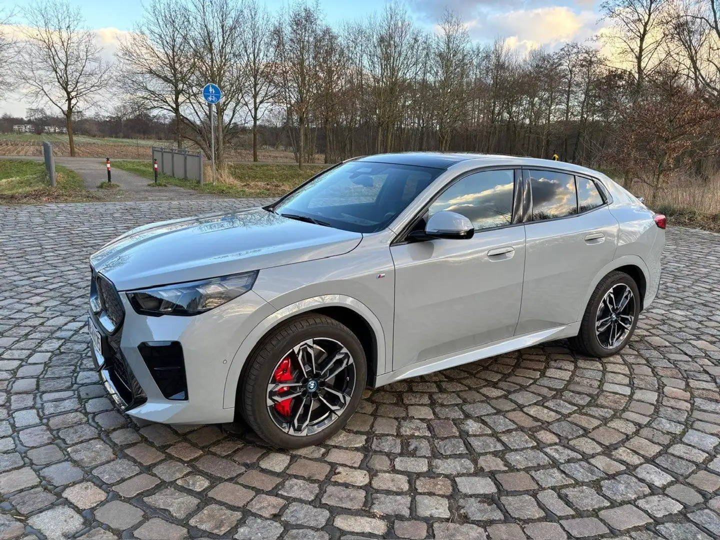 BMW iX2 iX2 xDrive30 Grau - 1