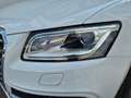 Audi SQ5 3.0 TDI quattro/Pano/AHK Weiß - thumbnail 3