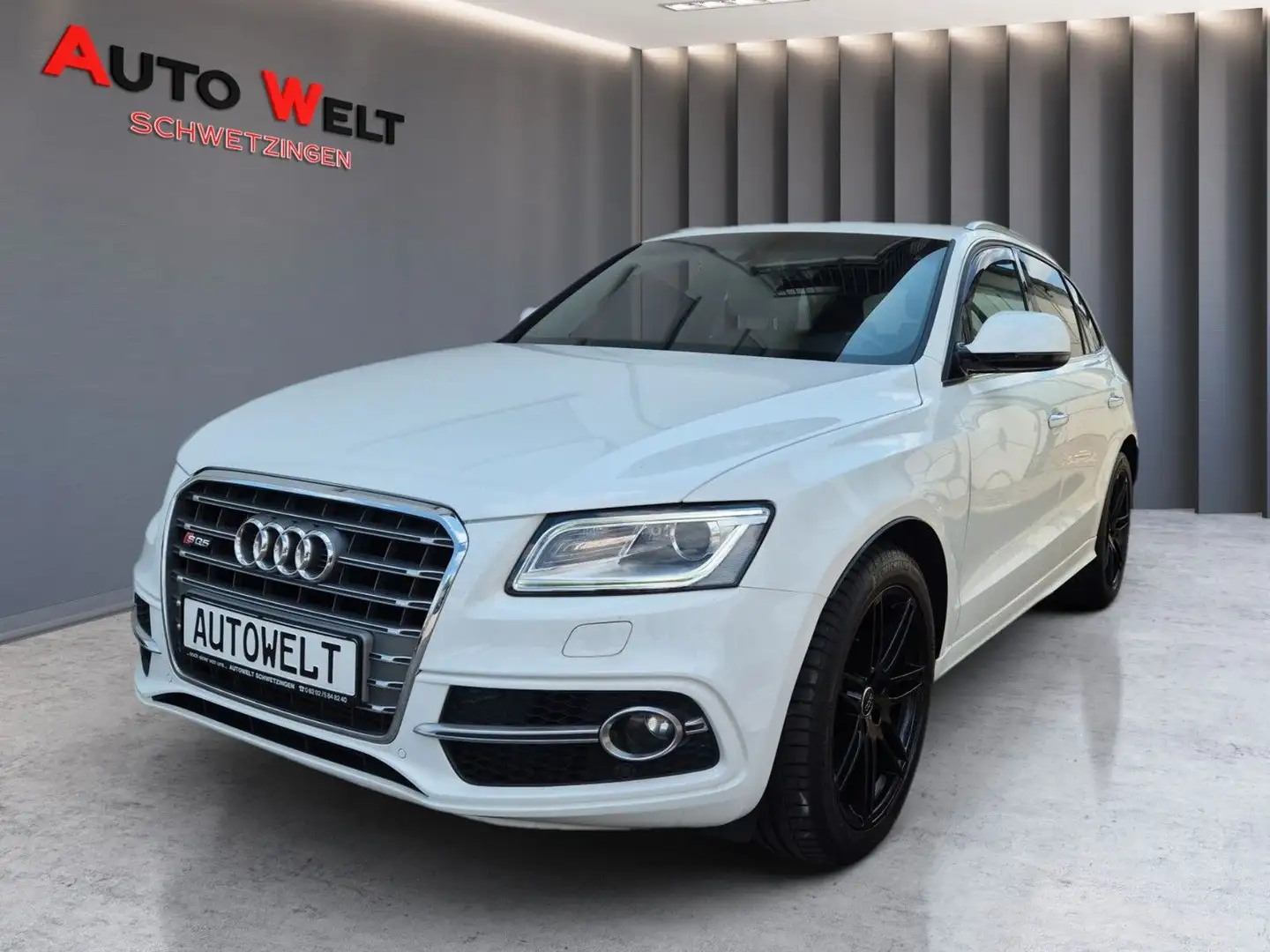 Audi SQ5 3.0 TDI quattro/Steuerkette neu/Pano/AHK Weiß - 1