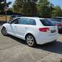 Audi A3 Sportback 1.6TDI Ambition 105 Wit - thumbnail 6