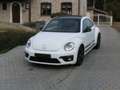 Volkswagen Beetle The Beetle 1.2 TSI Blue Motion Technologie Dune Blanc - thumbnail 3