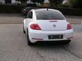 Volkswagen Beetle The Beetle 1.2 TSI Blue Motion Technologie Dune Blanc - thumbnail 6