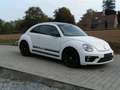 Volkswagen Beetle The Beetle 1.2 TSI Blue Motion Technologie Dune Blanc - thumbnail 4