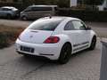 Volkswagen Beetle The Beetle 1.2 TSI Blue Motion Technologie Dune Blanc - thumbnail 5
