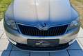 Skoda Rapid/Spaceback Rapid 1,6 Ambition TDI Green tec DPF Beige - thumbnail 17