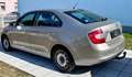 Skoda Rapid/Spaceback Rapid 1,6 Ambition TDI Green tec DPF Beige - thumbnail 12