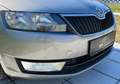 Skoda Rapid/Spaceback Rapid 1,6 Ambition TDI Green tec DPF Beige - thumbnail 18