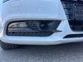 Audi A5 3.0 TDI DPF *quattro*S-line*ekekt.GSD*KAMERA*NAVI* Wit - thumbnail 12