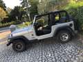Jeep Wrangler TJ 4.0 Sport GPL Grigio - thumbnail 8
