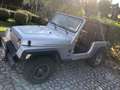 Jeep Wrangler TJ 4.0 Sport GPL Grigio - thumbnail 7
