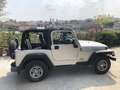 Jeep Wrangler TJ 4.0 Sport GPL Grigio - thumbnail 11