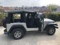 Jeep Wrangler TJ 4.0 Sport GPL Grigio - thumbnail 15