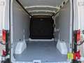 Ford Transit 350 96kW L2H2 Van Ambiente FWD Blanco - thumbnail 10