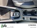 Skoda Octavia Combi Sportline AHZV Licht&SichtPLUS elektr. Sitzv Grau - thumbnail 12