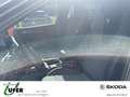 Skoda Octavia Combi Sportline AHZV Licht&SichtPLUS elektr. Sitzv Grau - thumbnail 7