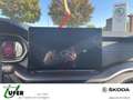 Skoda Octavia Combi Sportline AHZV Licht&SichtPLUS elektr. Sitzv Grau - thumbnail 11