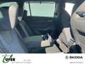 Skoda Octavia Combi Sportline AHZV Licht&SichtPLUS elektr. Sitzv Grau - thumbnail 14