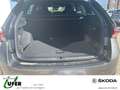 Skoda Octavia Combi Sportline AHZV Licht&SichtPLUS elektr. Sitzv Grau - thumbnail 8