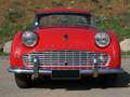 Triumph TR3 Rojo - thumbnail 5