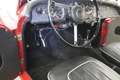 Triumph TR3 Rojo - thumbnail 11