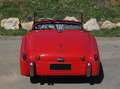 Triumph TR3 Rojo - thumbnail 6