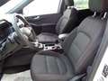Ford Kuga 1.5 EcoBlue 120 CV 2WD ST-Line Bianco - thumbnail 9