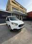 Ford Tourneo Courier Tourneo Courier 1.5 TDCI 100 CV S&S Plus Weiß - thumbnail 2