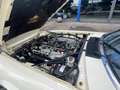 Jaguar XJS XJS-C 5.3 V12 Targa met zeldzame hardtop Weiß - thumbnail 36
