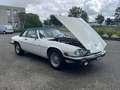 Jaguar XJS XJS-C 5.3 V12 Targa met zeldzame hardtop Weiß - thumbnail 38