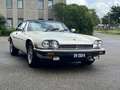 Jaguar XJS XJS-C 5.3 V12 Targa met zeldzame hardtop Weiß - thumbnail 13
