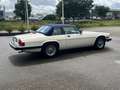 Jaguar XJS XJS-C 5.3 V12 Targa met zeldzame hardtop Weiß - thumbnail 11