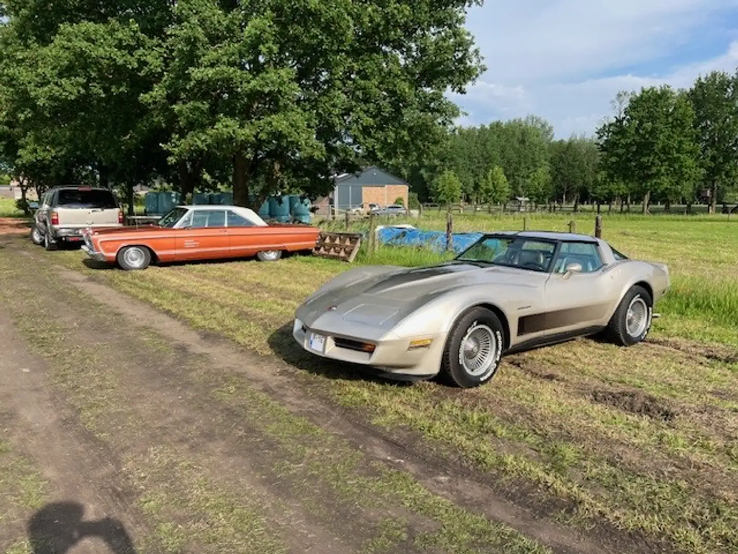 Chevrolet Corvette C3 Corvette Collector Edition (1 of 6.759) - 2