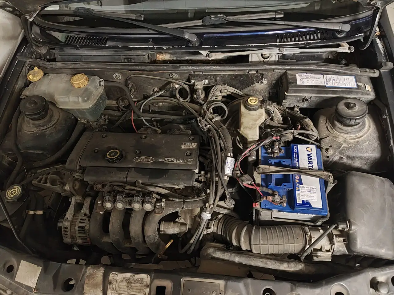 Ford Fiesta 5p 1.2 Techno, foto 9