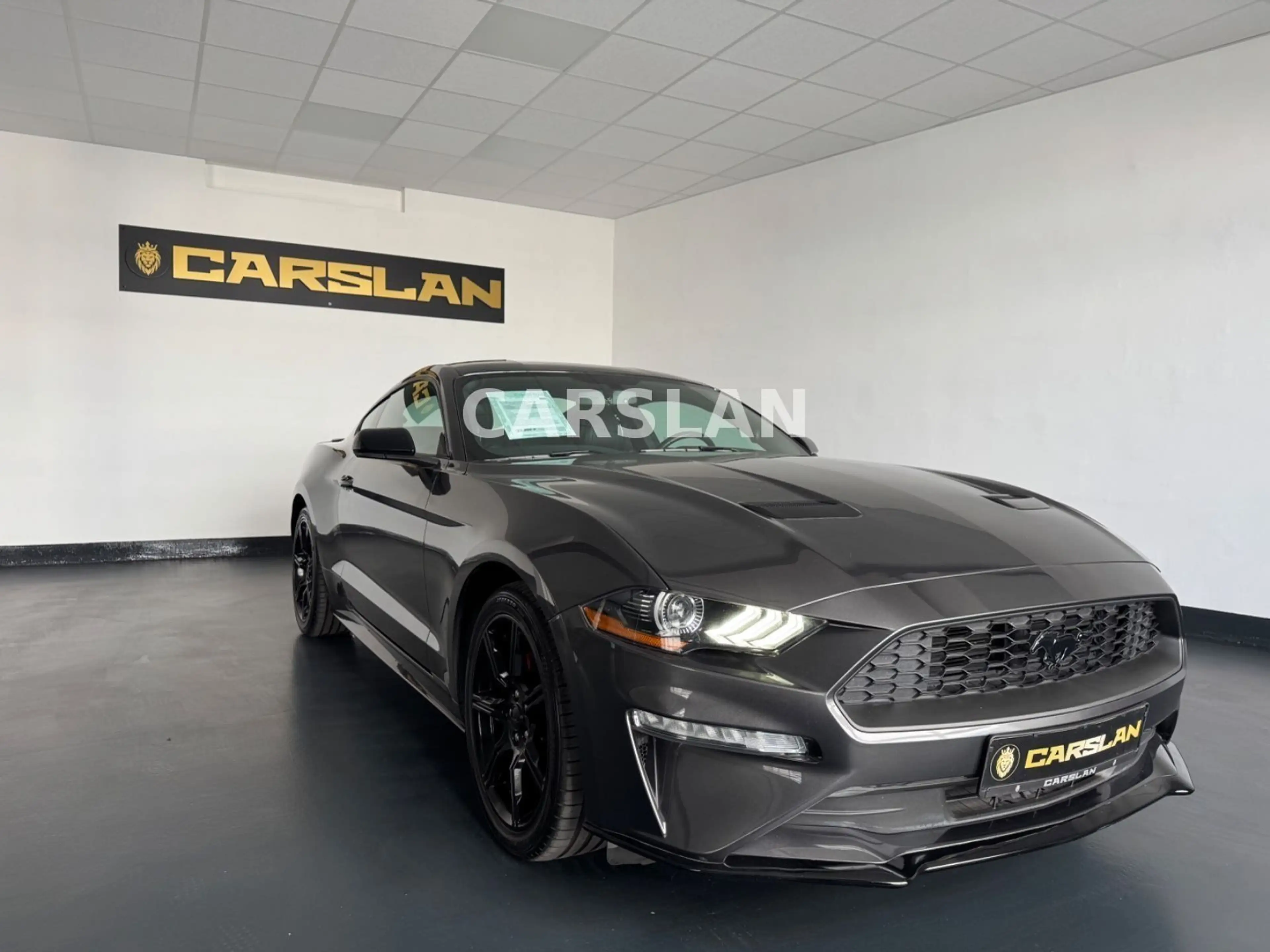 Ford Mustang 2.3 LED+R.KAM+19"+SHZ+LEDER+KEYLESS — photo 5