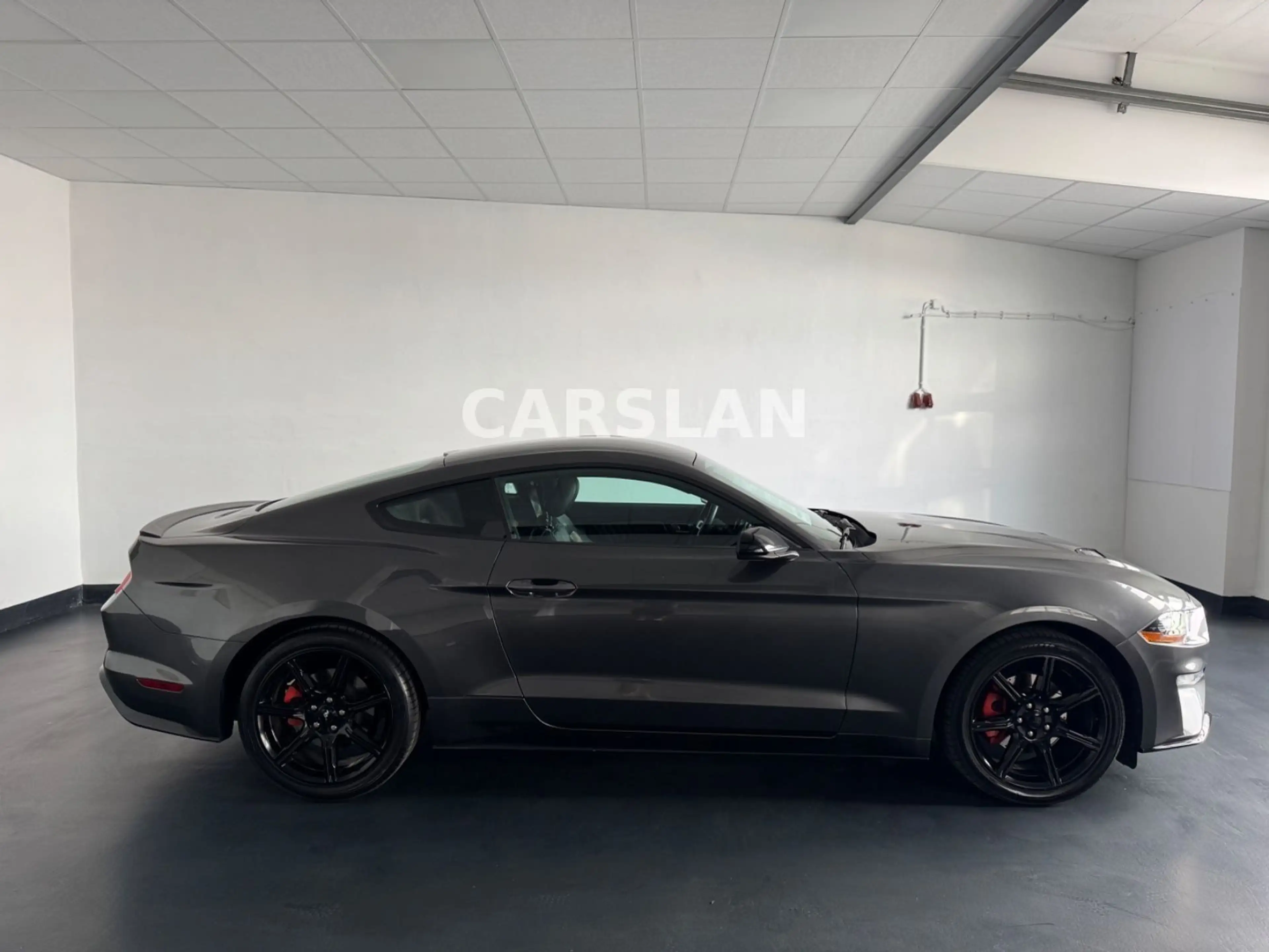 Ford Mustang 2.3 LED+R.KAM+19"+SHZ+LEDER+KEYLESS — photo 8