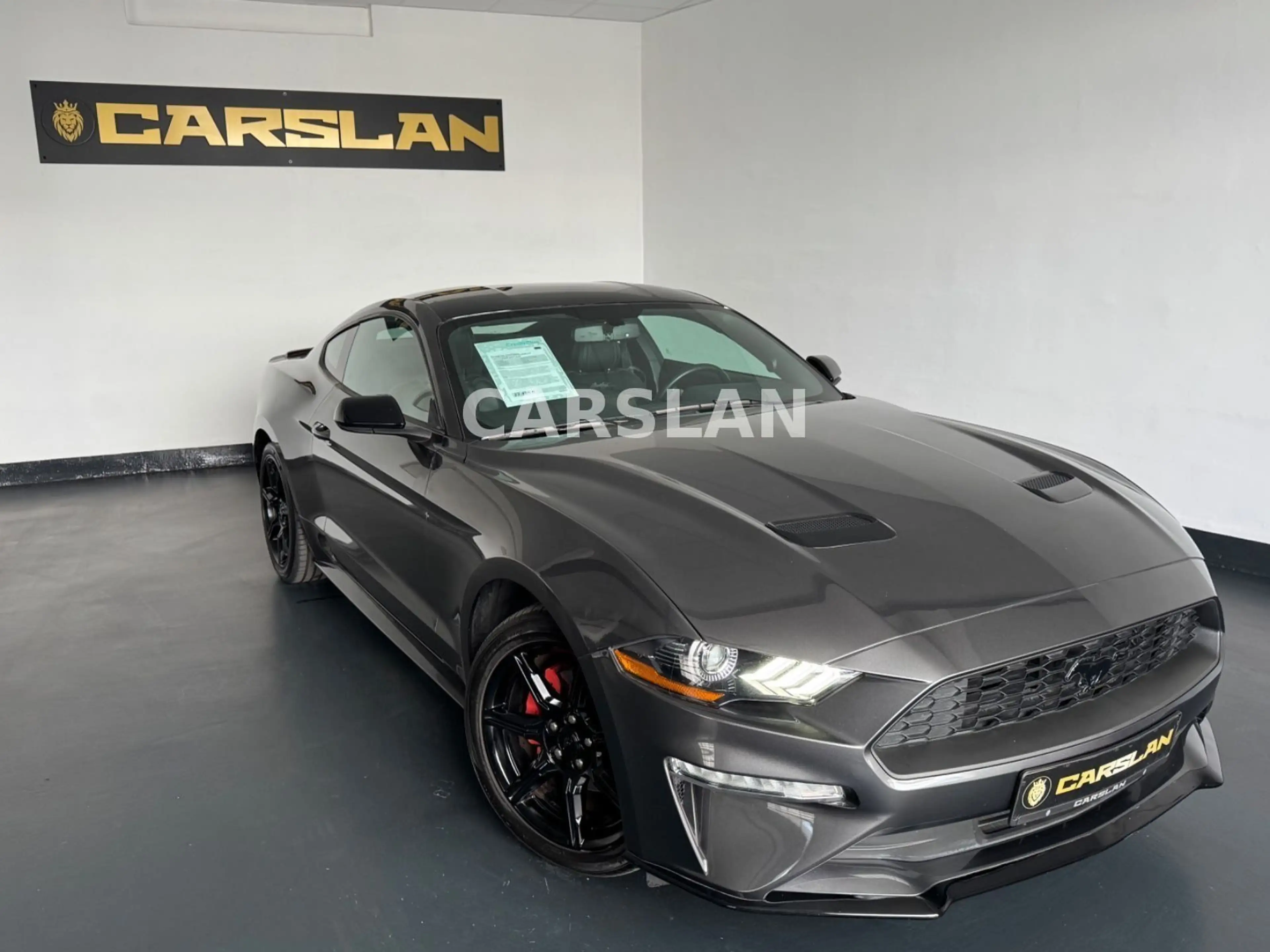 Ford Mustang 2.3 LED+R.KAM+19"+SHZ+LEDER+KEYLESS