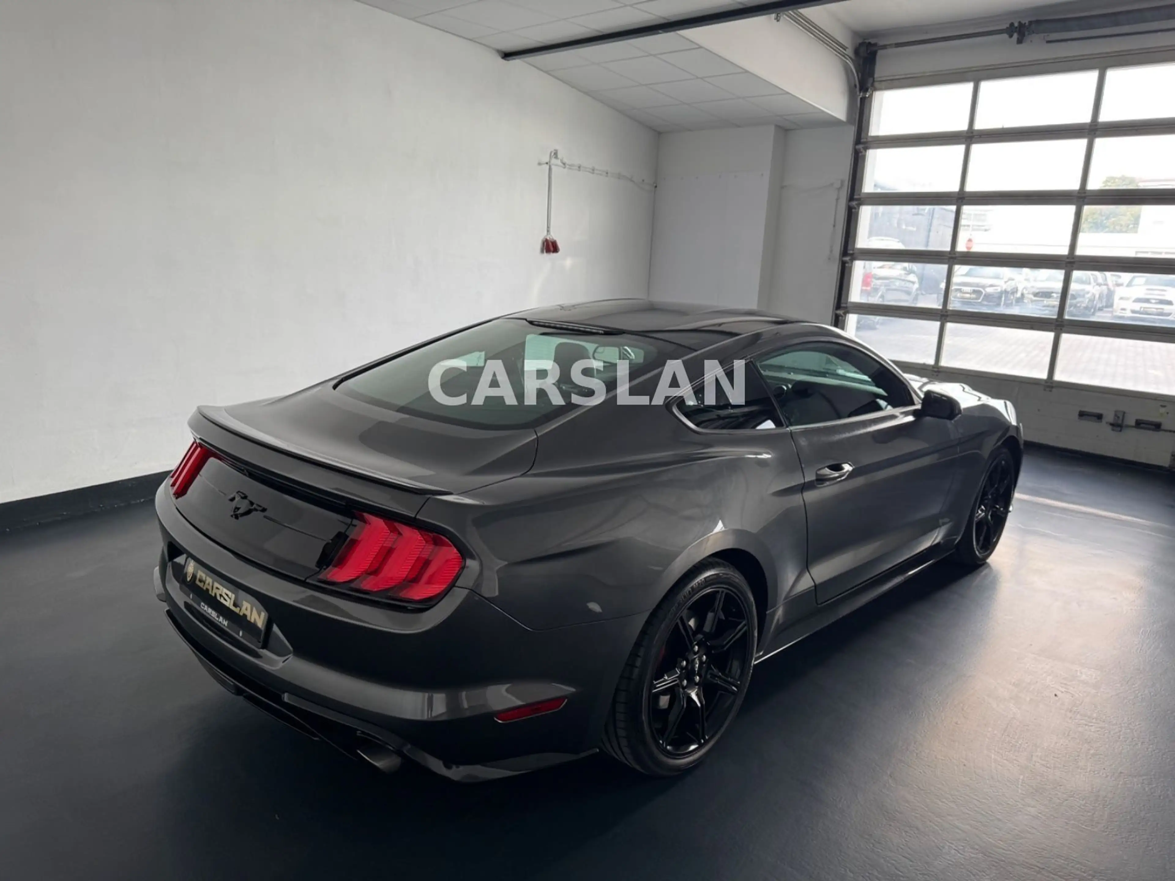 Ford Mustang 2.3 LED+R.KAM+19"+SHZ+LEDER+KEYLESS — photo 12