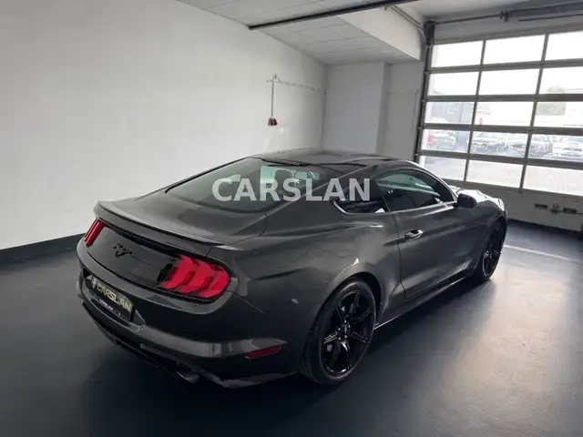 Ford Mustang view 12
