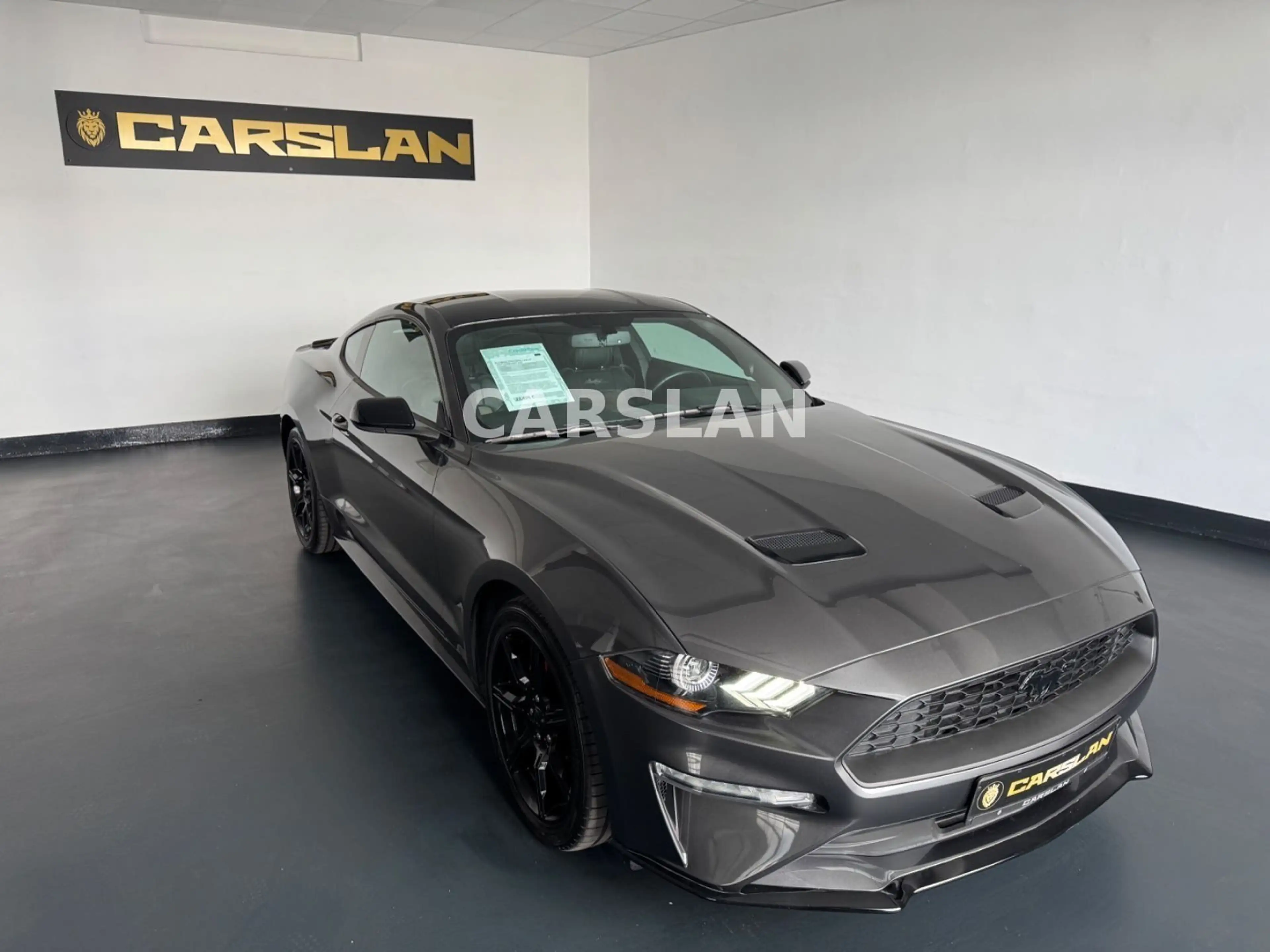 Ford Mustang 2.3 LED+R.KAM+19"+SHZ+LEDER+KEYLESS — photo 2