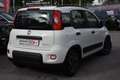 Fiat Panda 1.0 FireFly S&S Hybrid City Life **SOLO 1641KM!!** Bianco - thumbnail 3