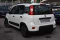 Fiat Panda 1.0 FireFly S&S Hybrid City Life **SOLO 1641KM!!** Bianco - thumbnail 4