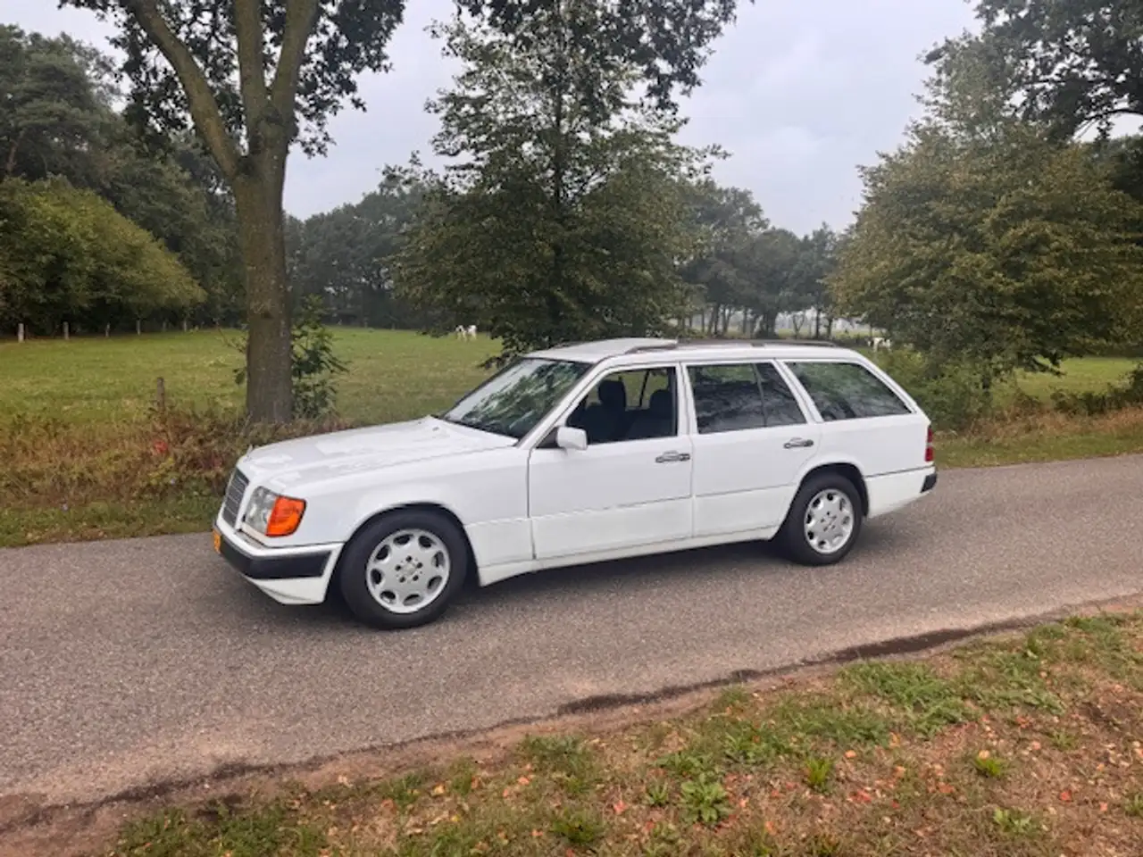 Mercedes-Benz 500 200-500 (W124) Combi 230 TE Airco, Schuifdak, 7 pe, foto 2