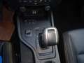 Ford Ranger Wildtrak Doppelkabine 4x4 Grau - thumbnail 16