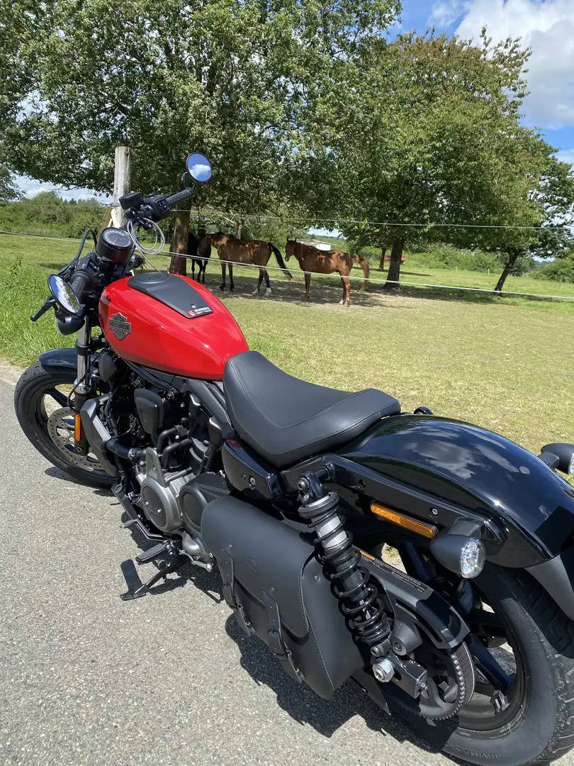 Harley-Davidson Night Rod Nightster 1000cc - 1
