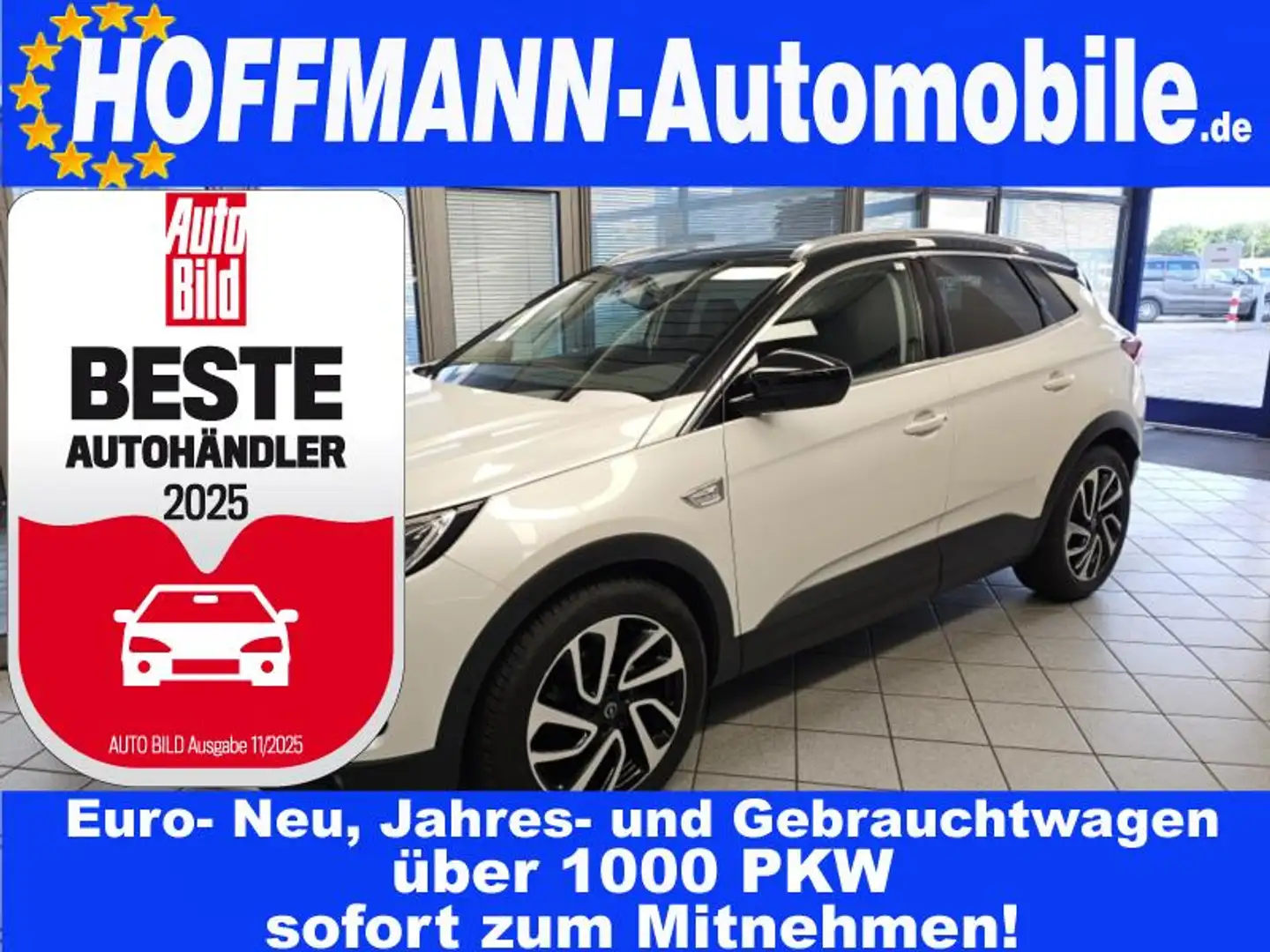 Opel Grandland X 19 Zoll,AHK,LED,Navi,Sitzheizung Weiß - 1