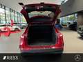 Mercedes-Benz GLA 250 4M AMG+PANO+AHK+HUD+DISTR+KEYL+MULTIBEAM Rojo - thumbnail 19