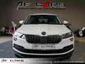 Skoda Karoq Style Klima AHK Carplay DAB+ TÜV neu Blanc - thumbnail 7