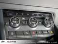 Skoda Karoq Style Klima AHK Carplay DAB+ TÜV neu Blanc - thumbnail 14