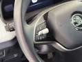 Skoda Kamiq 1.0 TSI Selection 70kW Gris - thumbnail 15